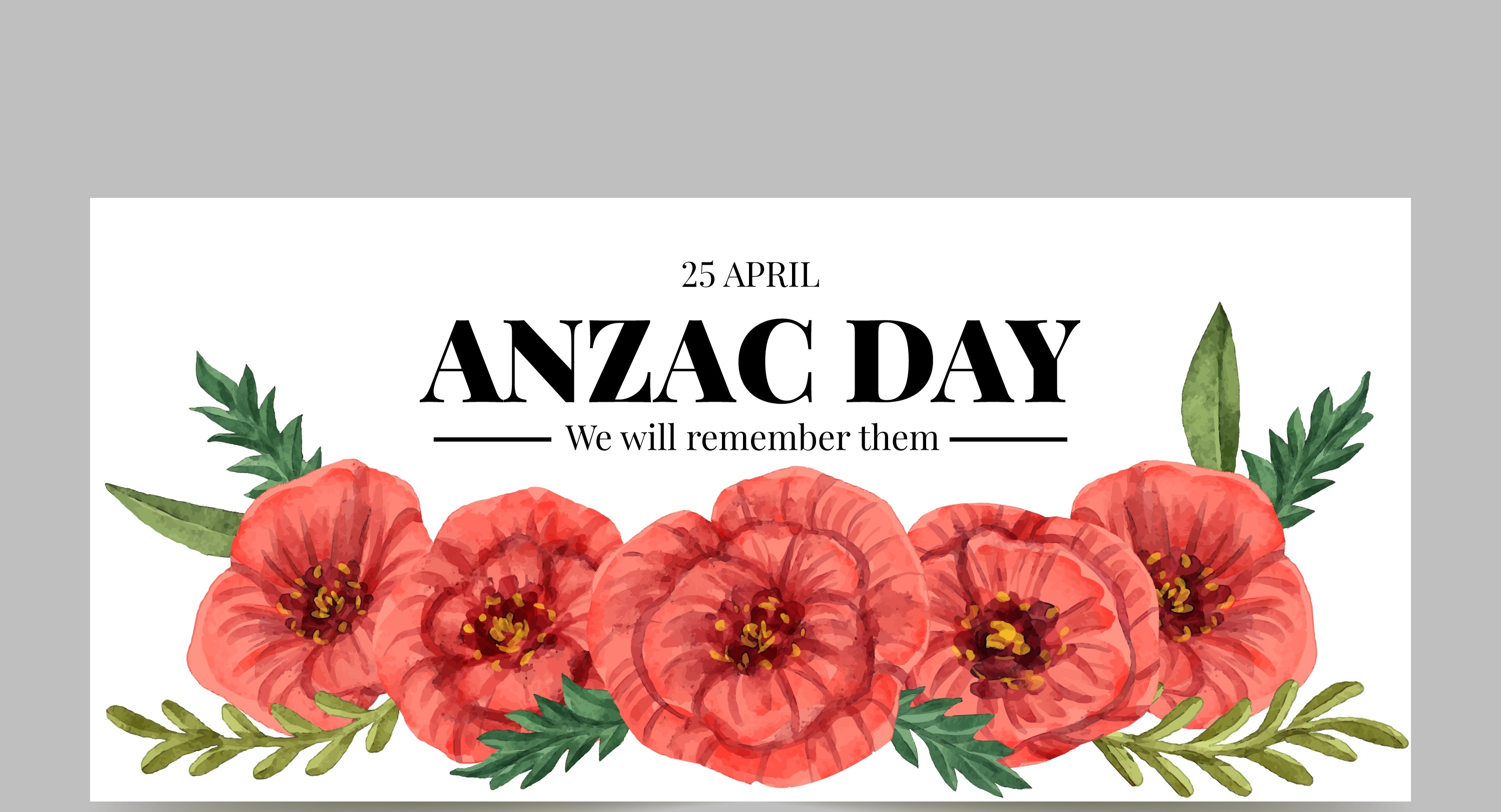 ANZAC DAY TOUR GALLIPOLI